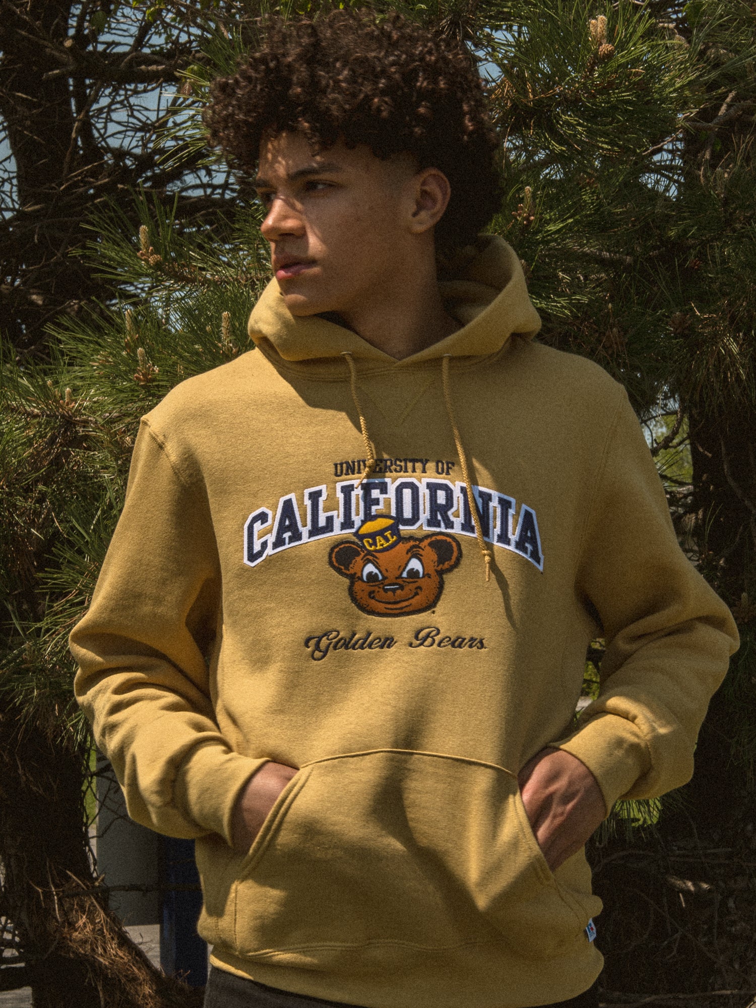 NCAA BERKELEY PULLOVER HOODIE - Image 3